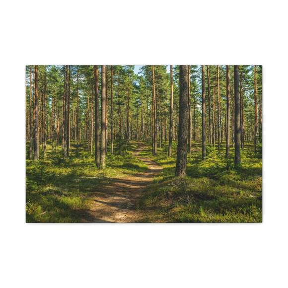 Green Forest Tree Path Nature Wilderness Photography Canvas Wall Art for Home De